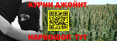 прущие грибы Тула