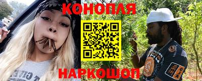 прущие грибы Тула