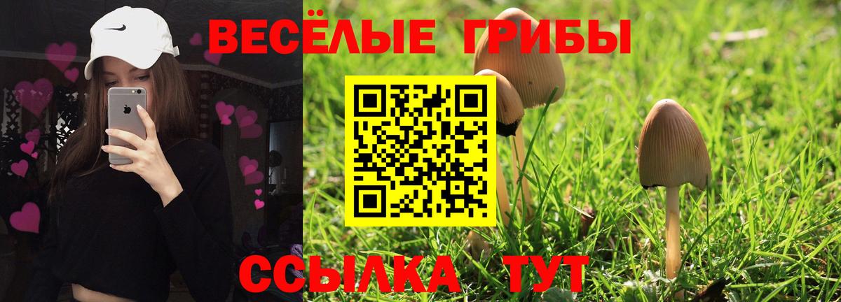 Псилоцибиновые грибы мухоморы  Вход с VPN  Псилоцибиновые грибы мухоморы  Усолье-Сибирское 